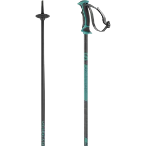 ARCTIC LADY SKI POLES