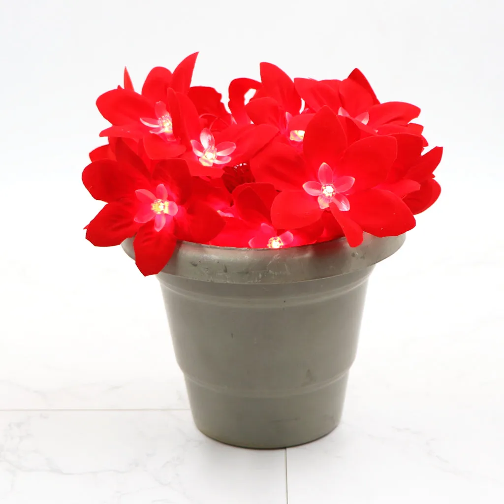 Big Red Flower 24 LED String Fairy Lights