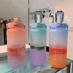 Colorful Frosted Water Bottle