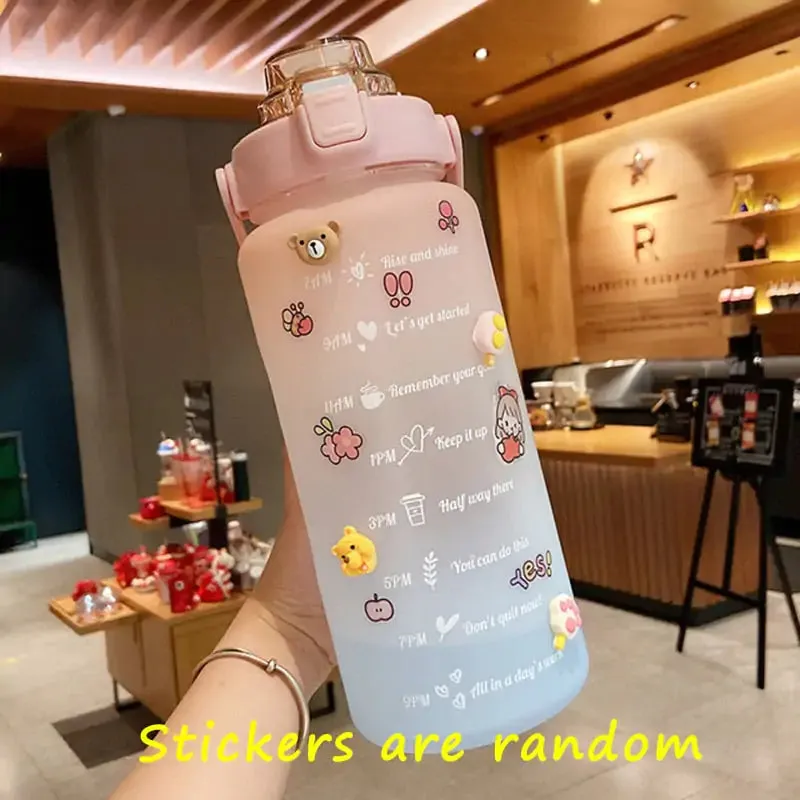 Colorful Frosted Water Bottle