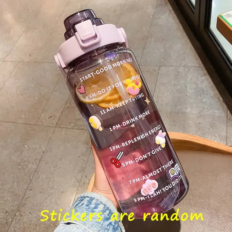 Colorful Frosted Water Bottle