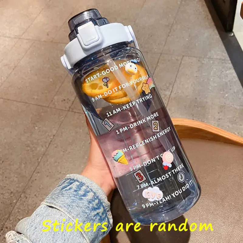 Colorful Frosted Water Bottle