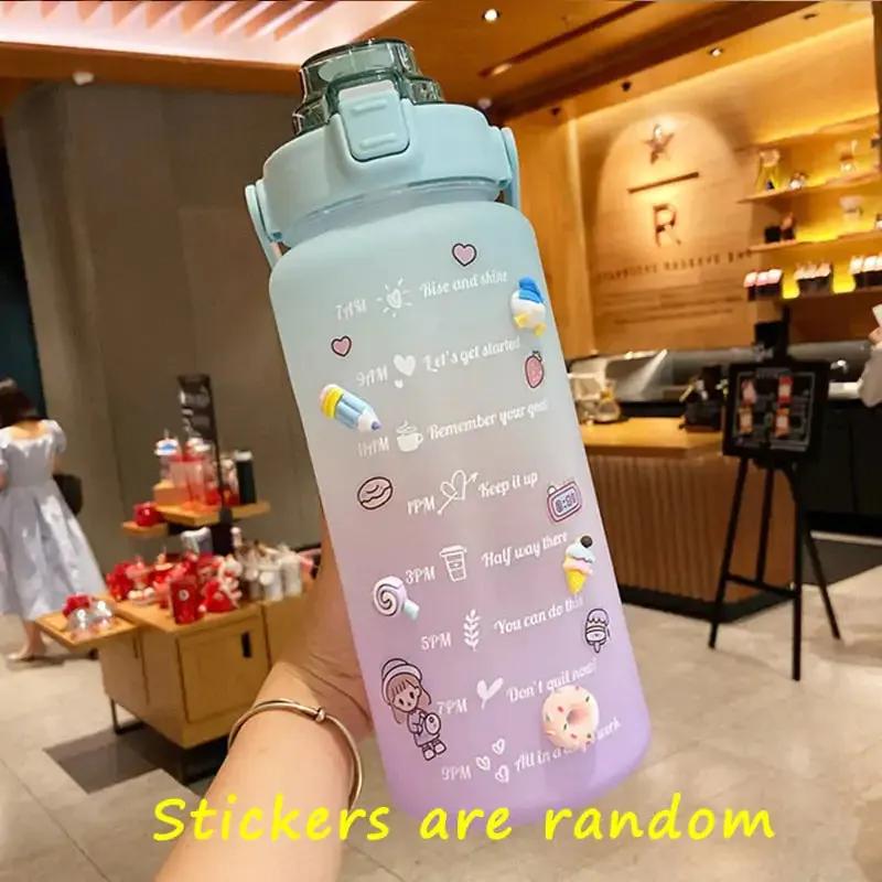 Colorful Frosted Water Bottle