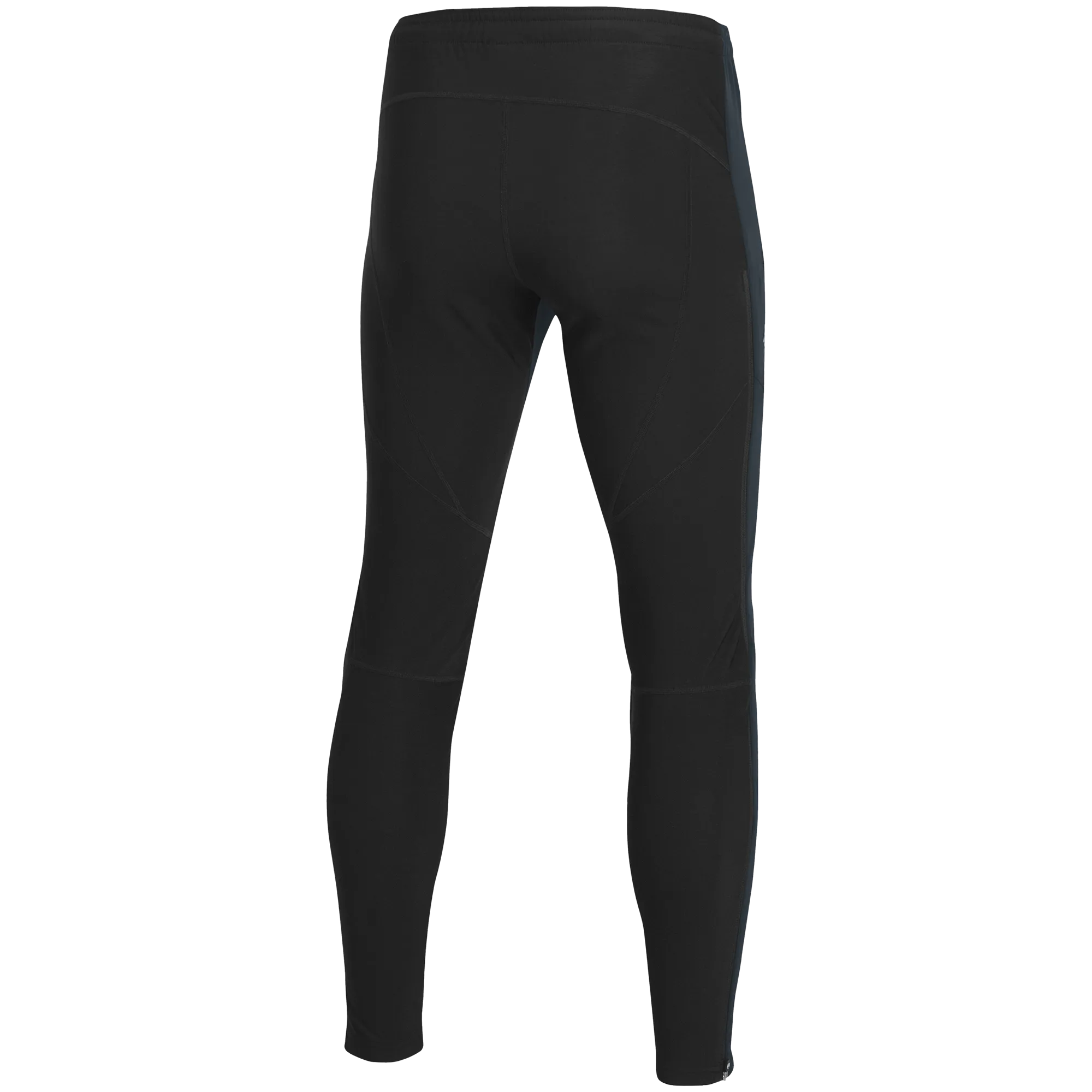 Pulse 2.0 Pants Men